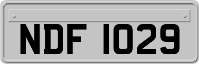 NDF1029