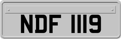 NDF1119