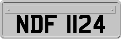 NDF1124