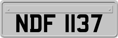 NDF1137