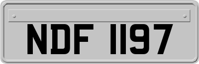 NDF1197