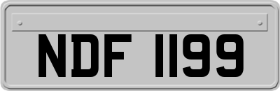NDF1199