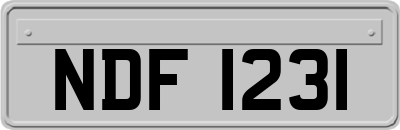 NDF1231