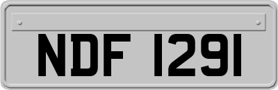NDF1291