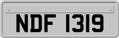 NDF1319