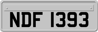 NDF1393