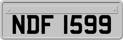 NDF1599