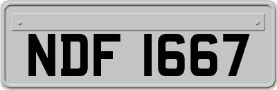 NDF1667