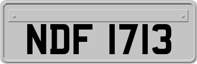 NDF1713