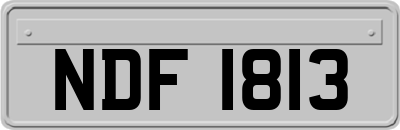NDF1813