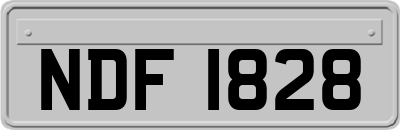 NDF1828