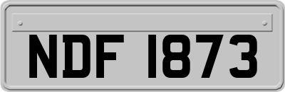 NDF1873