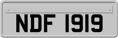 NDF1919