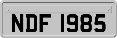 NDF1985