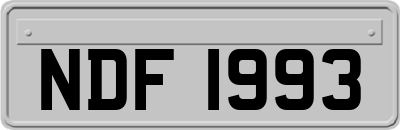 NDF1993