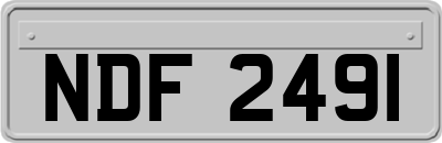 NDF2491