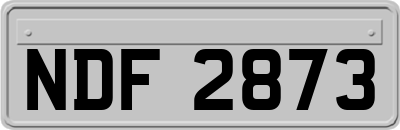 NDF2873