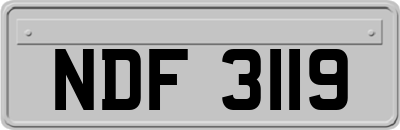 NDF3119