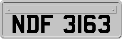 NDF3163