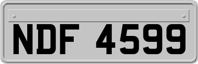 NDF4599