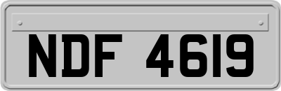 NDF4619