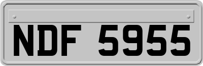 NDF5955