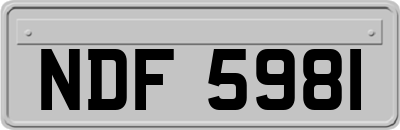 NDF5981