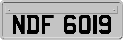 NDF6019