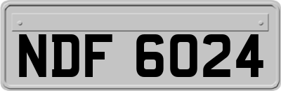 NDF6024