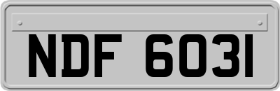 NDF6031