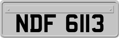 NDF6113
