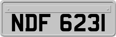 NDF6231