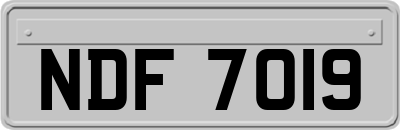 NDF7019