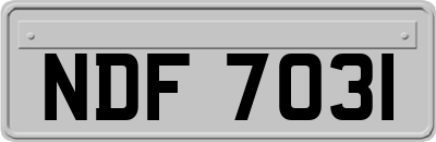 NDF7031