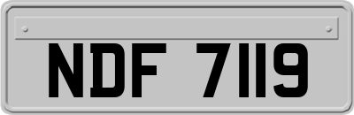 NDF7119
