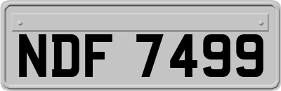 NDF7499