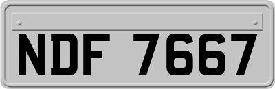 NDF7667