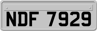 NDF7929