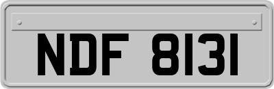 NDF8131