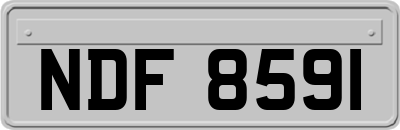 NDF8591