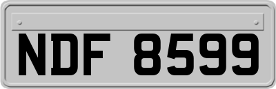 NDF8599
