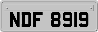 NDF8919
