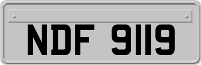 NDF9119