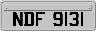 NDF9131