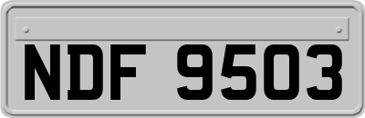 NDF9503