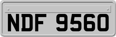 NDF9560