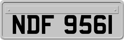 NDF9561