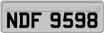 NDF9598
