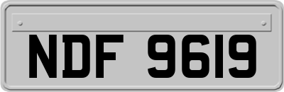NDF9619