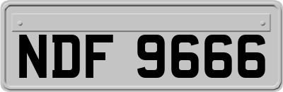 NDF9666